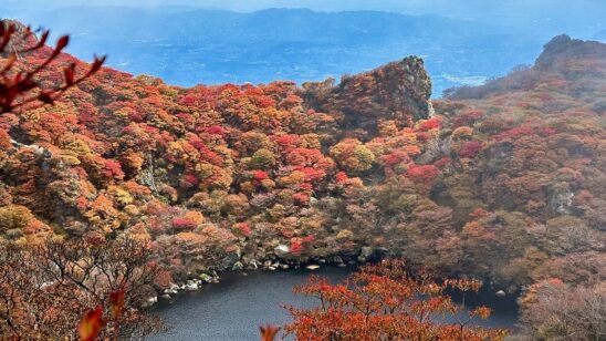 紅葉の写真