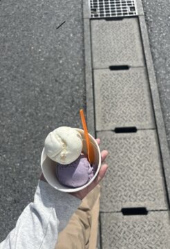 ブルーシールの写真