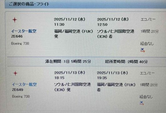 格安で韓国への写真