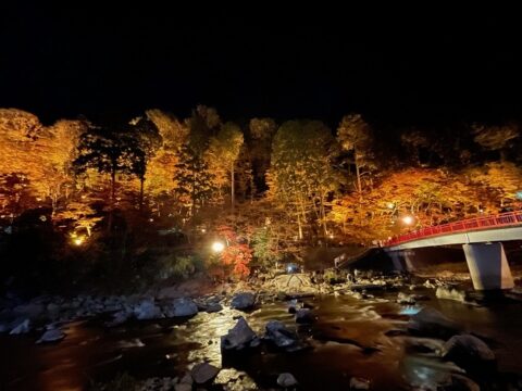 「この時期といえば…」の写真