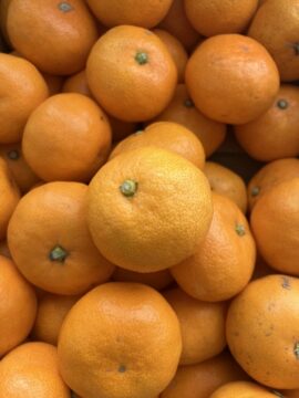 みかん🍊の写真