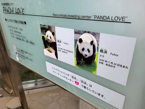 南紀白浜アドベンチャーワールドの写真