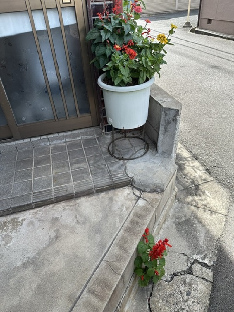 周りを見よう。の写真