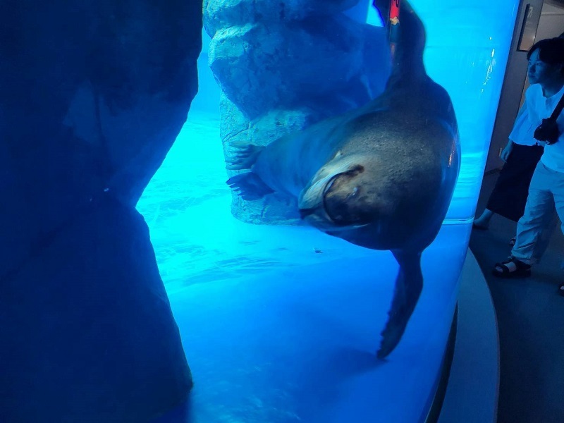 鳥羽水族館の写真